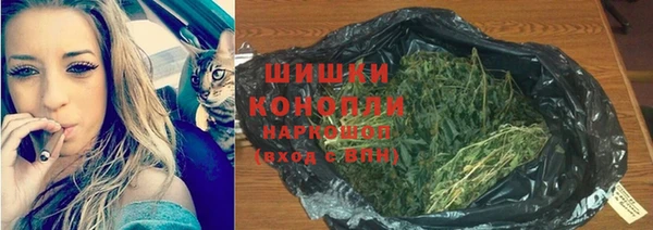 гидра Беломорск