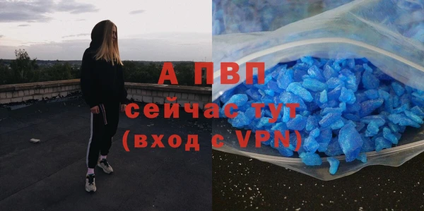ПСИЛОЦИБИНОВЫЕ ГРИБЫ Слюдянка