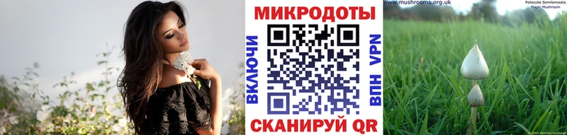 Псилоцибиновые грибы Magic Shrooms  Дальнегорск 